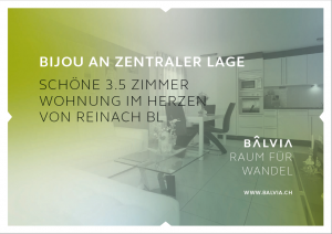 Titelseite Makler-Expose Wohnung in Reinach